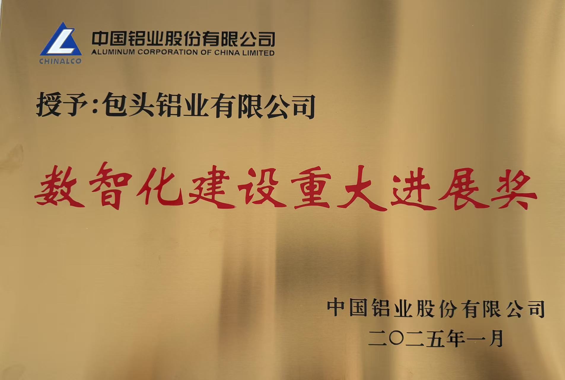 数智化建设重大进展奖