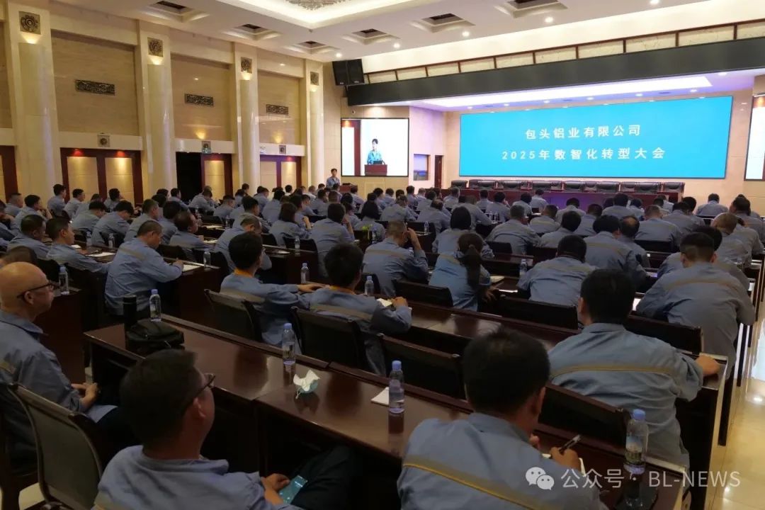 公司召开2025年数智化转型推进会