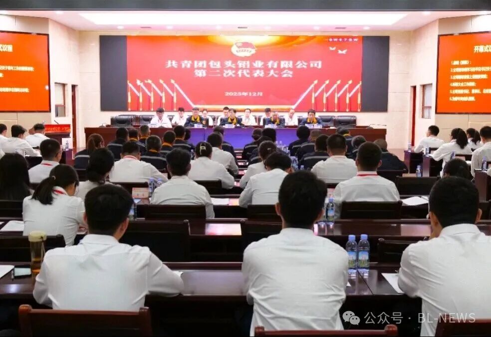 共青团包头铝业有限公司第二次代表大会胜利召开