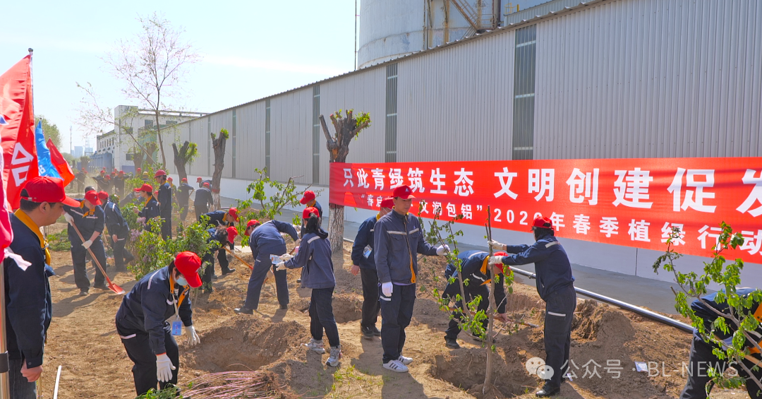 春启新绿 文润包铝 公司开展春季植绿行动